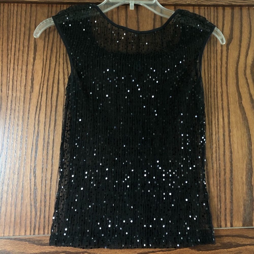 🌺 (3/$30) The Limited Sheer Sequin Top